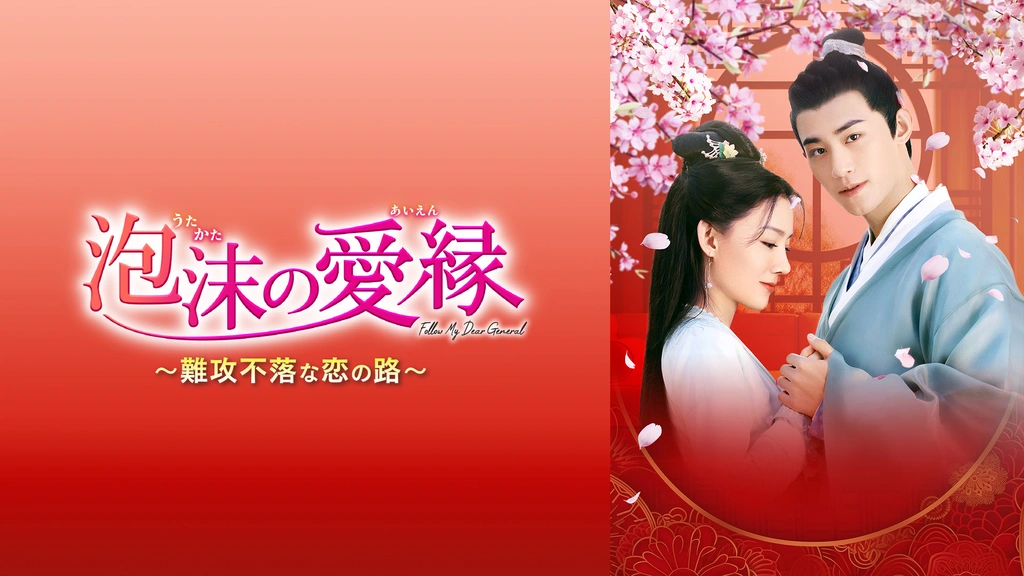 泡沫の愛縁 難攻不落な恋の路 DVD 全巻 セット ドラマ 中国 羨まし ヘイ・