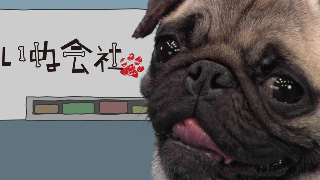 いぬ 【公式通販】