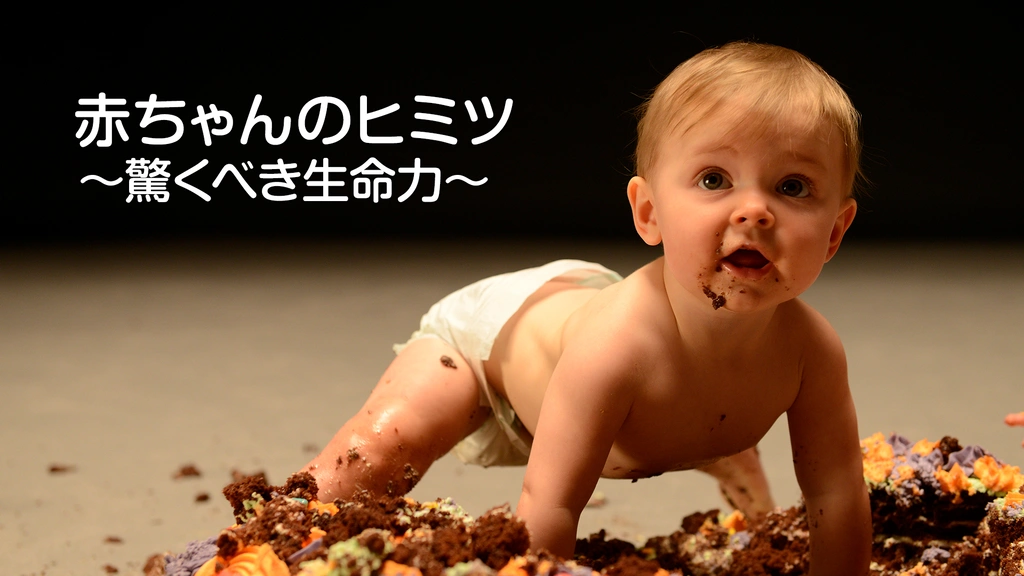 Amazon.co.jp: 赤ちゃんのヒミツ~驚くべき生命力~ [DVD] : DVD