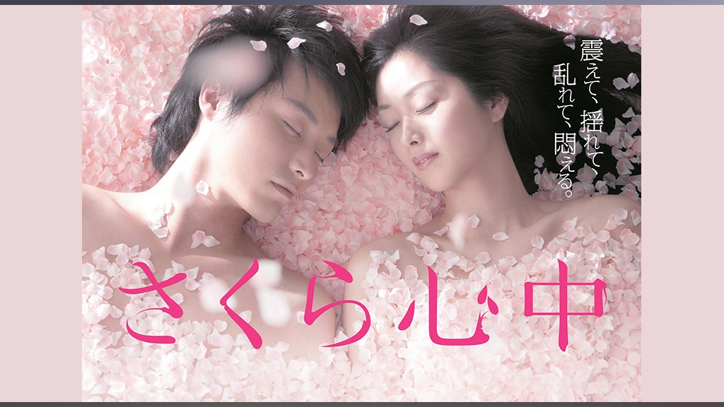 さくら心中 邦画TVドラマDVD 全12巻 レンタル落ち 笛木優子 徳山