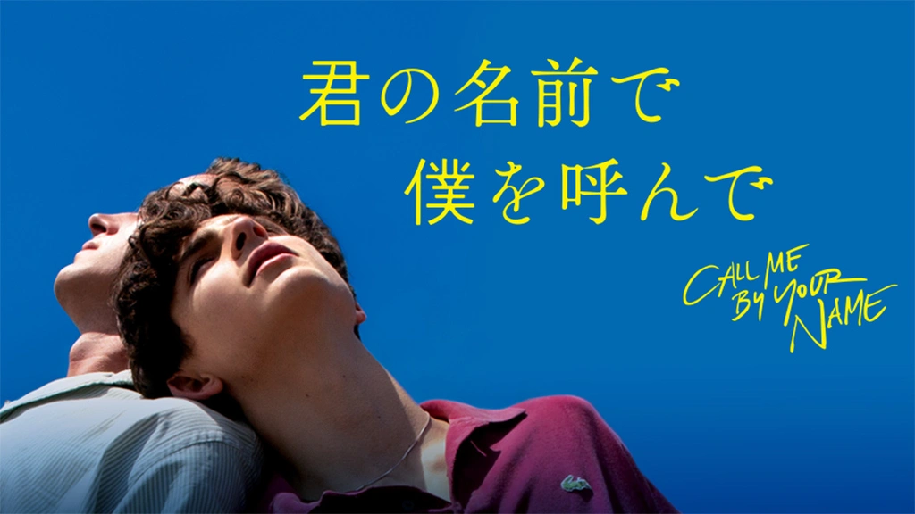 君の名前で僕を呼んで パンフレット 豪華版　ビューティフルボーイ 写真750点掲載『君の名前で僕を呼んで』豪華版パンフレット数量