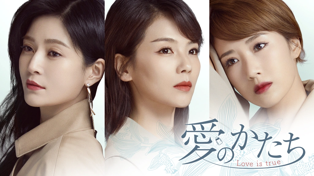 愛のかたち～Ｌｏｖｅ　ｉｓ　ｔｒｕｅ～　ＤＶＤ－ＢＯＸ１ 愛のかたち ～Love is true～ | Hulu(フールー)