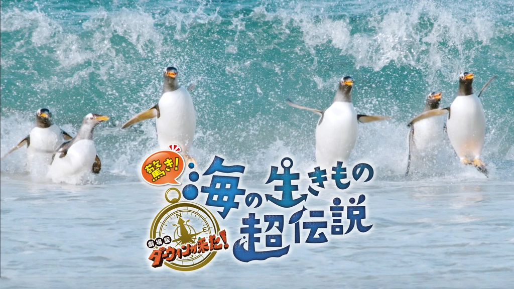 激安な 驚き！海の生きもの超伝説 劇場版ダーウィンが来た！｜フジ タイムセール