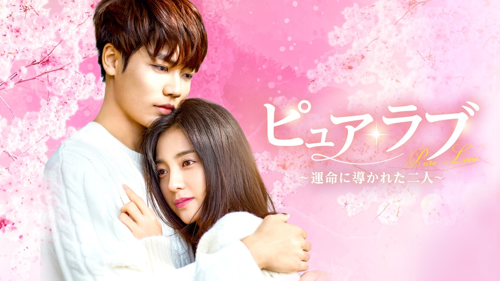 TBS TVドラマ ピュアラブ Pure Love DVD 全巻セット 小田茜 ピュア