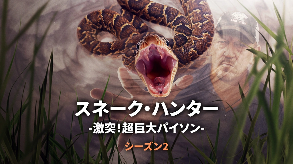 トイストーリー スネーク 絶版 実物大 トイストーリー スネーク 絶版 実物大 キャラクターグッズ