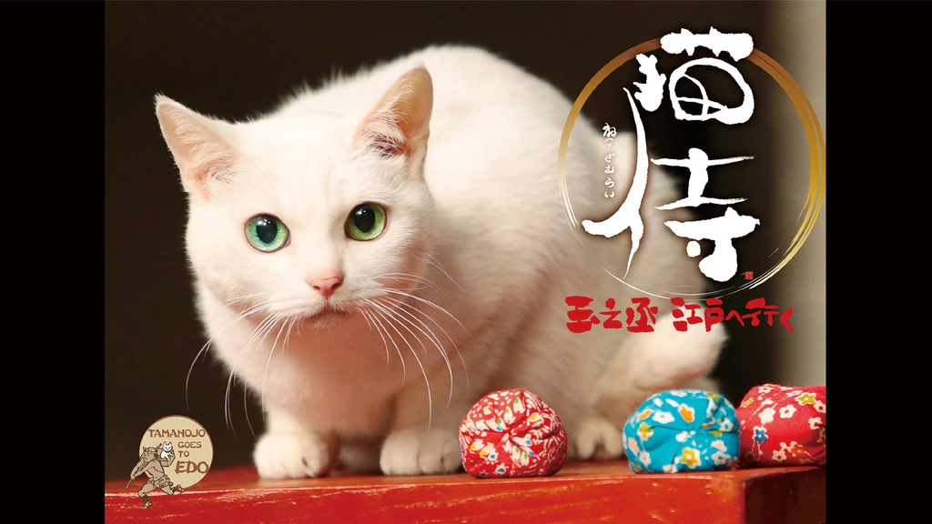 Amazon.co.jp: スペシャルドラマ「 猫侍 玉之丞、江戸へ行く