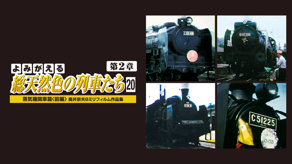 よみがえる日本語 よみがえる日本語: ことばのみなもと「ヲシテ」 | 青木 純雄