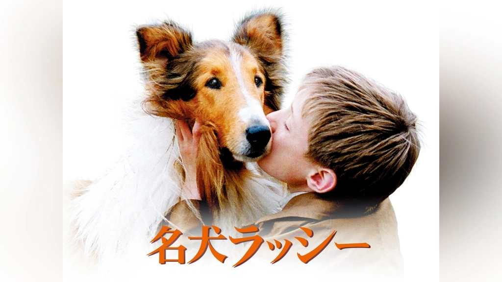 名犬ラッシー｜フジテレビの人気ドラマ・アニメ・TV番組の動画が