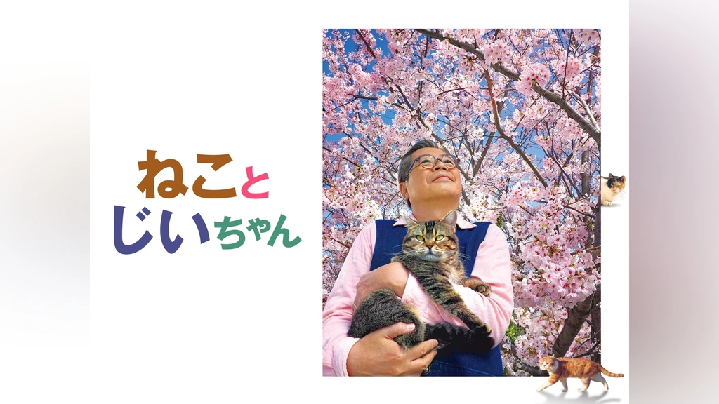 猫の事務所: 画本宮澤賢治