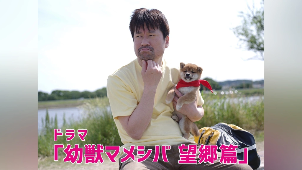 ドラマ「幼獣マメシバ 望郷篇」｜フジテレビの人気ドラマ