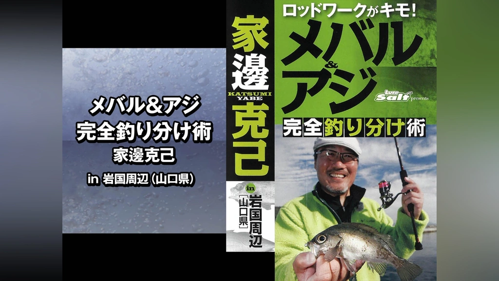 注目ショップ メバル＆アジ 完全釣り分け術 家邊克己 in岩国周辺(山口県 フィッシング