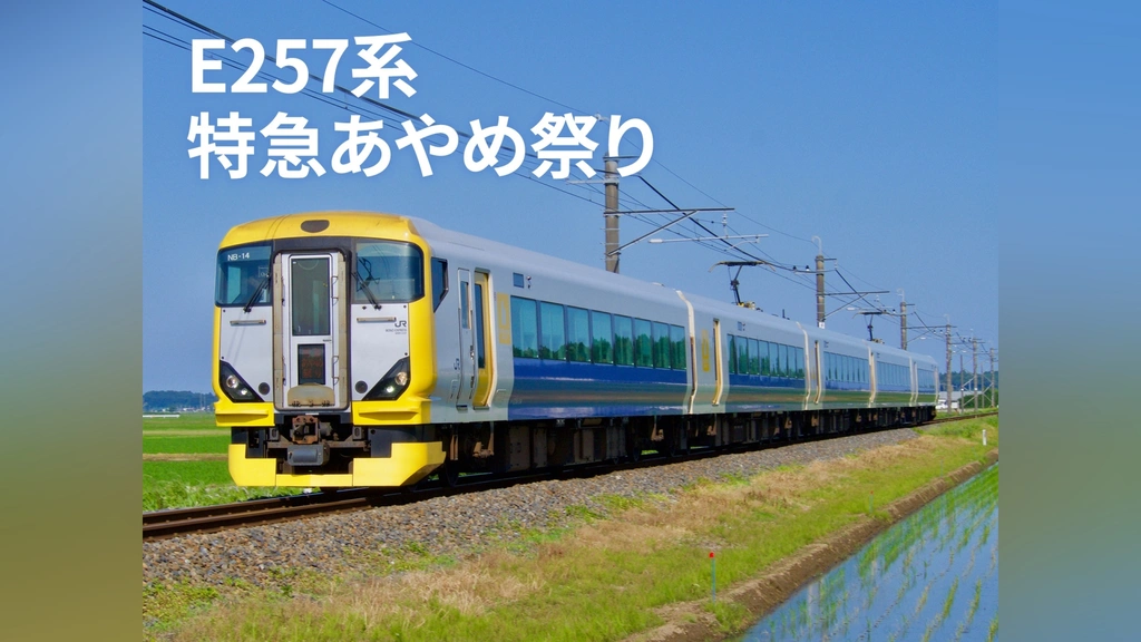 激安人気新品 E257系特急あやめ祭り｜フジテレビの人気ドラマ・アニメ・TV番組 趣味、実用