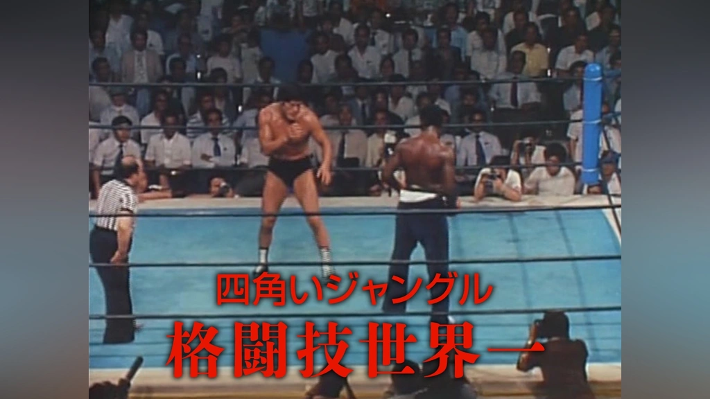 四角いジャングル 格闘技世界一｜フジテレビの人気ドラマ