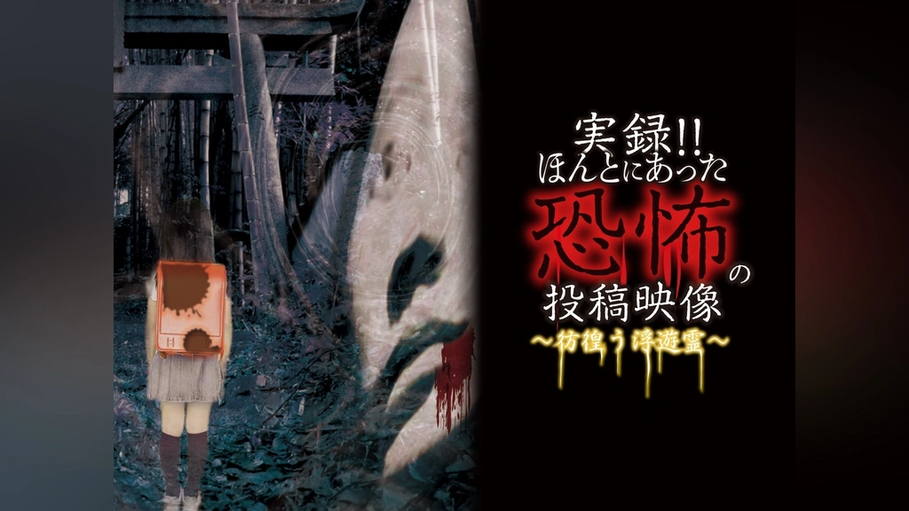 実録!!ほんとにあった恐怖の投稿映像 ～彷徨う浮遊霊～｜フジ