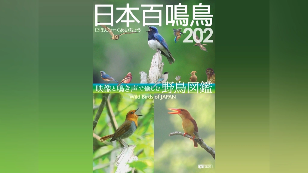 貴重絶版♪野鳥名鑑♪５個セット開封済み中古品お早めに