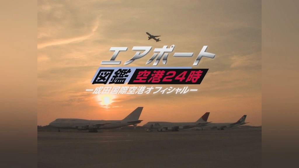 代引き手数料無料 0000_still_blur.jpg 航空機