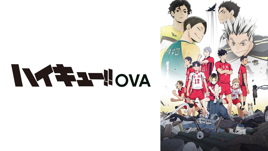 ハイキュー Ova フジテレビの人気ドラマ アニメ Tv番組の動画が見放題 Fod
