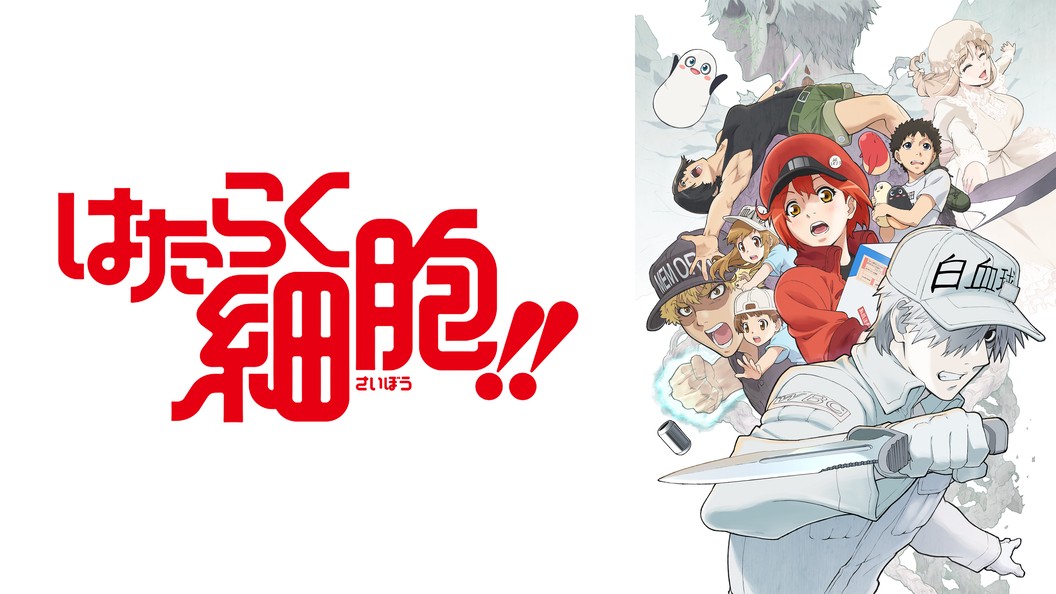 はたらく細胞 フジテレビの人気ドラマ アニメ Tv番組の動画が見放題 Fod