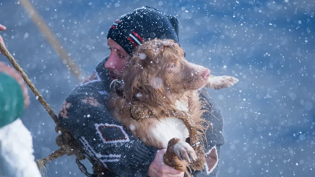 アイスブレイカー 超巨大氷山崩落