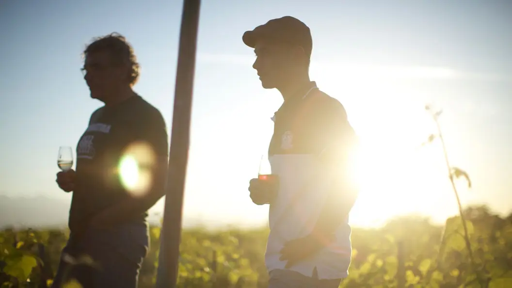 ワイン・コーリング