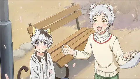 1 うちのタマ知りませんか 犬会議 俺たちのワイハ フジテレビの人気ドラマ アニメ Tv番組の動画が見放題 Fod