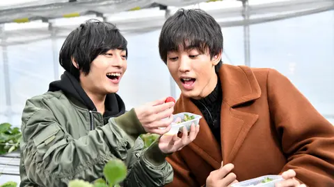 レア サイン入り 舞台ハイキュー‼︎ 永田崇人 近藤頌利 おでかけin 宮古島 永田崇人×近藤頌利『おでかけ！ in 宮古島』インタビュー