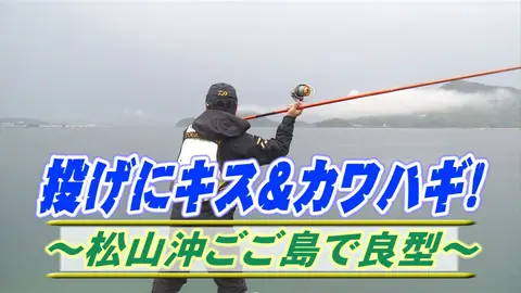 中島で鯛絶好調 一つテンヤ70cm匹 フジテレビの人気ドラマ アニメ Tv番組の動画が見放題 Fod