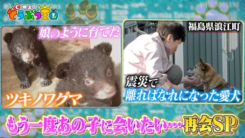 もう一度あの子に会いたい 奇跡の再会sp フジテレビの人気ドラマ アニメ Tv番組の動画が見放題 Fod