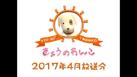 きょうのわんこ フジテレビの人気ドラマ アニメ Tv番組の動画が見放題 Fod