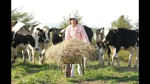 牛に願いを Love＆Farm｜フジテレビの人気ドラマ・アニメ・TV番組の 