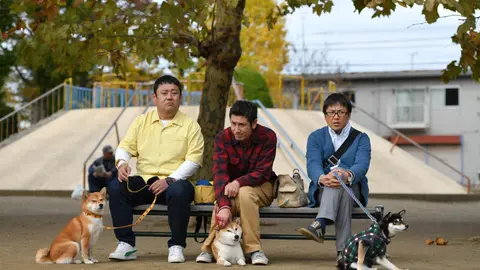 ドラマ版柴公園｜フジテレビの人気ドラマ・アニメ・TV番組の動画が見