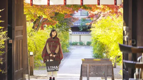ちょこっと京都に住んでみた。＜スペシャル版＞｜フジテレビの人気