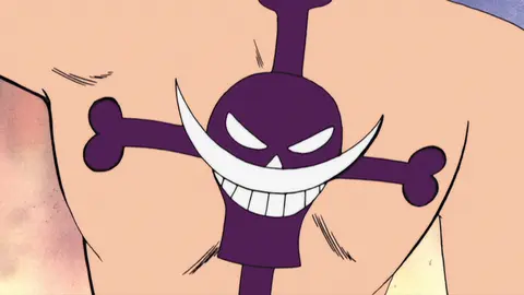ワンピース アラバスタ編｜フジテレビの人気ドラマ・アニメ・TV番組の