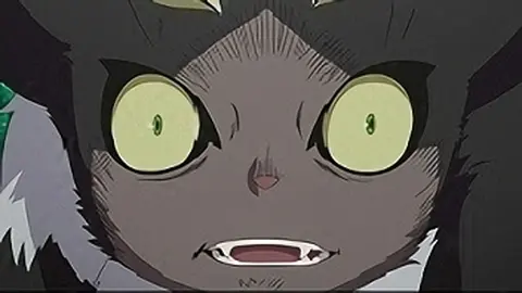 第10話 黒猫｜フジテレビの人気ドラマ・アニメ・TV番組の動画が見放題