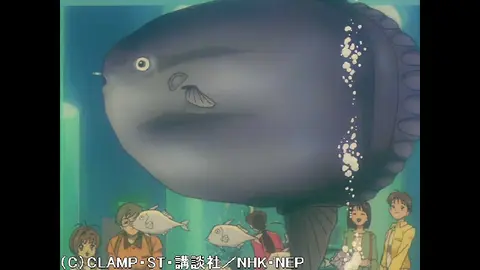 第32話 さくらとケロと小狼と｜フジテレビの人気ドラマ・アニメ・TV 