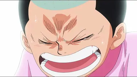 ワンピース ゾウ編 フジテレビの人気ドラマ アニメ Tv番組の動画が見放題 Fod