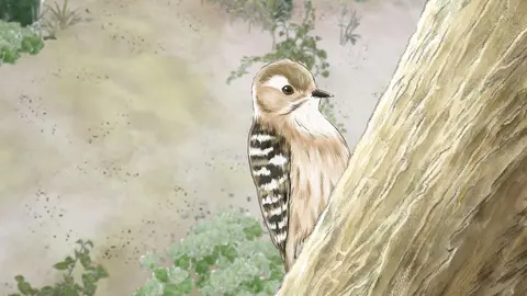 青い羽みつけた フジテレビの人気ドラマ アニメ Tv番組の動画が見放題 Fod