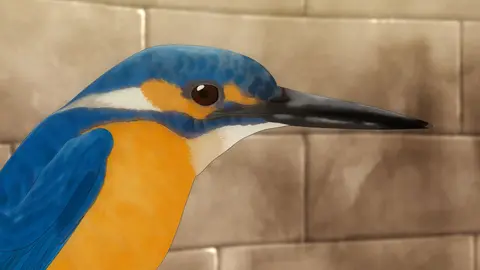 青い羽みつけた フジテレビの人気ドラマ アニメ Tv番組の動画が見放題 Fod