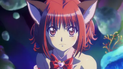 BLACKBIRD1～9話11～13話15～17話公式ファンブック 第13話 Step up！いちご恋のセカンドステージ！｜フジテレビの人気