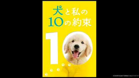 Amazon.co.jp: 犬と私のやくそくパック(3枚組 初回限定生産