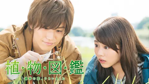 植物図鑑 運命の恋、ひろいました｜フジテレビの人気ドラマ・アニメ