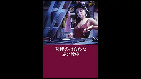 石井隆　天使のはらわた　名美　赤い教室　夜よふるえて他　計8冊 石井隆 天使のはらわた 名美 赤い教室 夜よふるえて他 計8冊