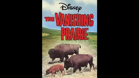 滅びゆく大草原【1977年再公開版】 | 映画チラシ・フライヤー