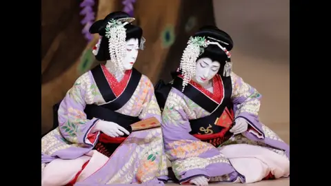 シネマ歌舞伎 二人藤娘／日本振袖始｜フジテレビの人気ドラマ・アニメ