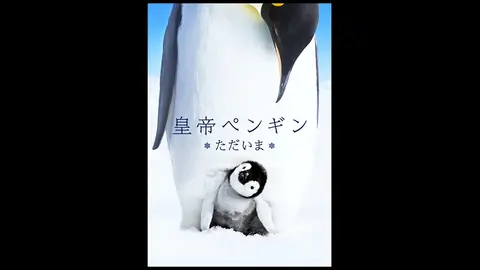 字幕版 皇帝ペンギン ただいま フジテレビの人気ドラマ アニメ Tv番組の動画が見放題 Fod 字幕版 皇帝ペンギン ただいま フジテレビの人気ドラマ アニメ Tv番組の動画が見放題 Fod