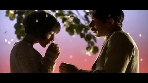 Amazon.co.jp | チキンとプラム あるバイオリン弾き、最後の夢