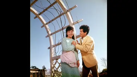 こんにちは赤ちゃん｜フジテレビの人気ドラマ・アニメ・TV番組の動画が