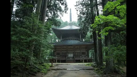 高野山開創千二百年 いのちを紡ぐ 空海 共生の思想｜フジテレビの人気