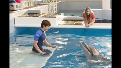 イルカと少年 映画 DVD新品 イルカと少年 管理ワ55上88の通販