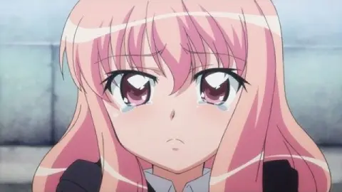 第1話 ゼロのルイズ｜フジテレビの人気ドラマ・アニメ・TV番組の動画が